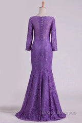 Mermaid V Neck 3/4 Length Sleeve Lace Floor Length Mother Of The Bride Dress