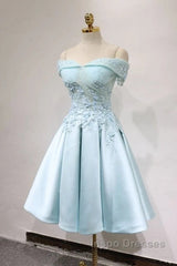 Short Off Shoulder Evening Prom Homecoming Dress Lace Embroidery
