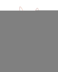 Womens V Neck Tulle Spaghetti Straps Coral Homecoming Dresses with Corset Back Short Prom Gowns for Teens